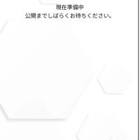 お客様の声の項目は準備中だった